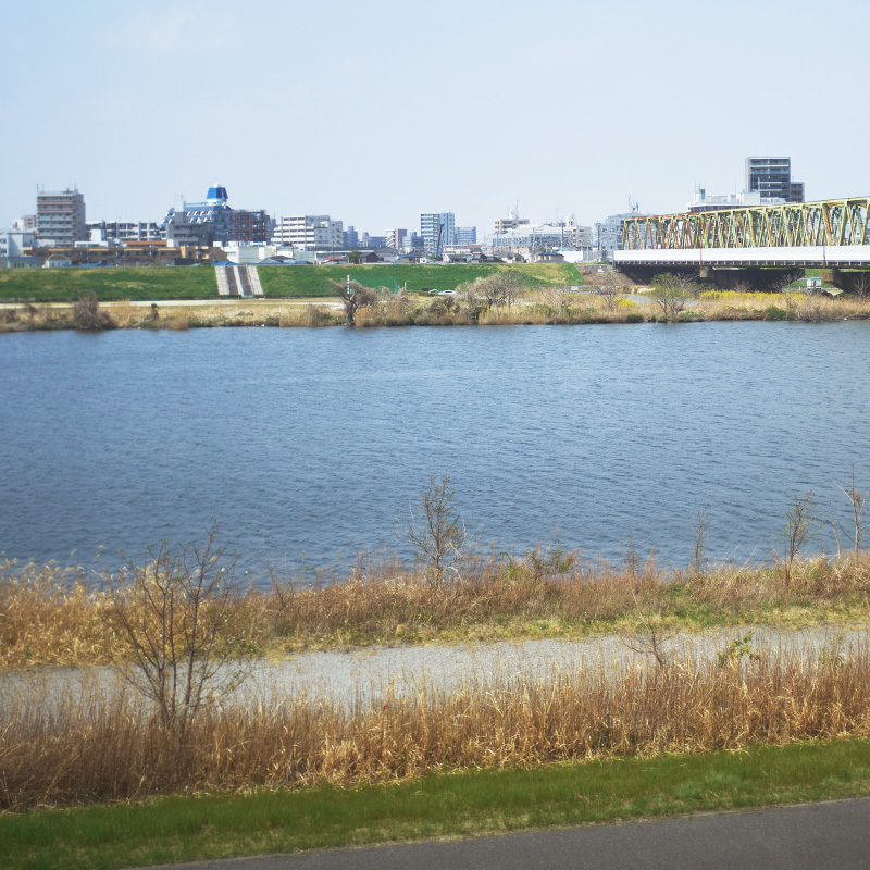 訪問診療の対象エリアとなる江戸川区周辺の風景